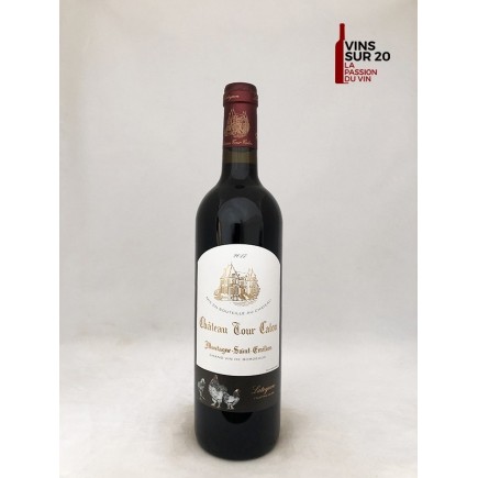 CHÂTEAU TOUR CALON - MONTAGNE SAINT EMILION - 2016